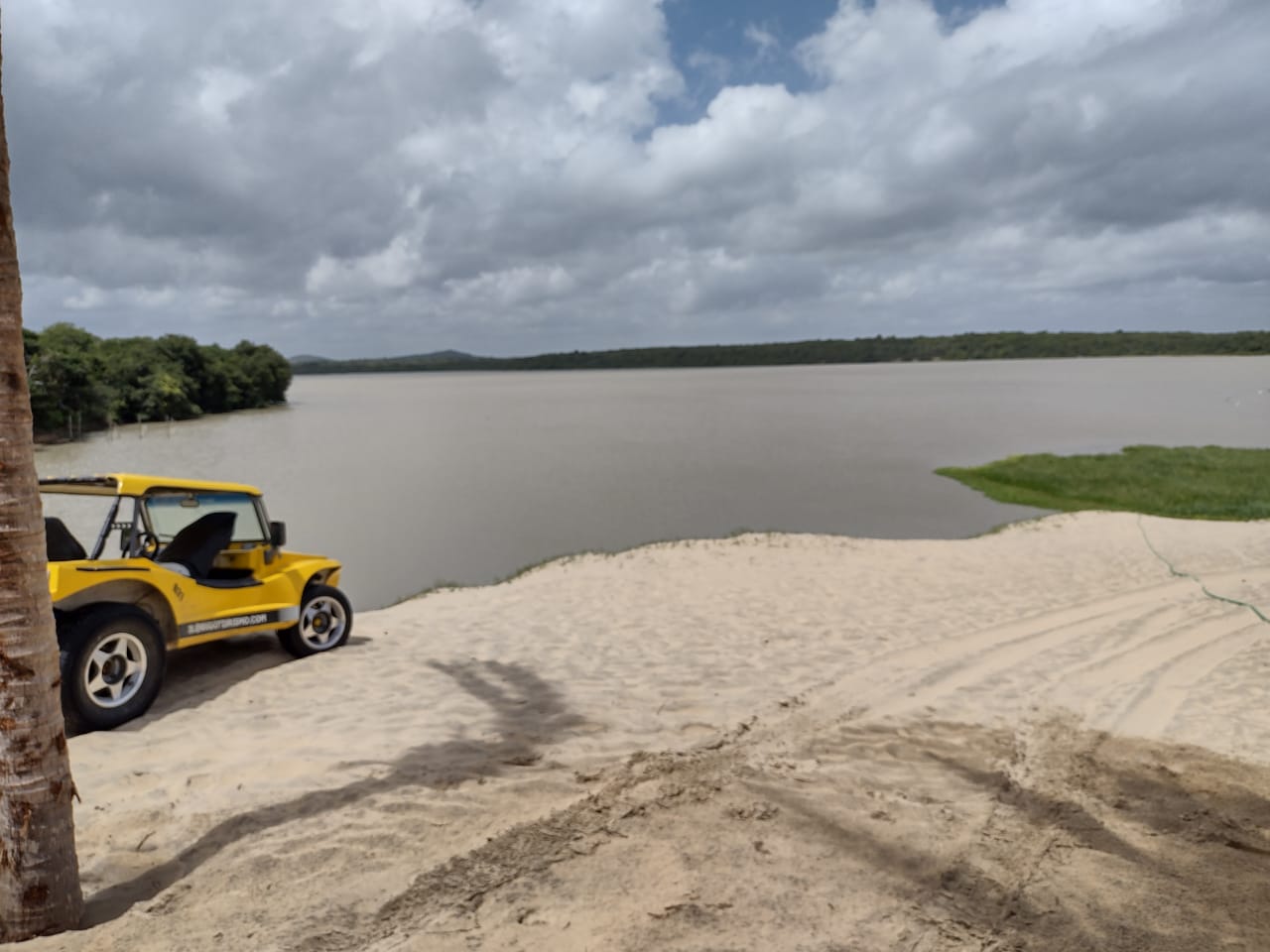 Miniatura 6